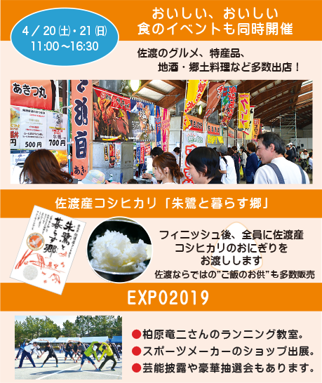 佐渡トキマラソン19